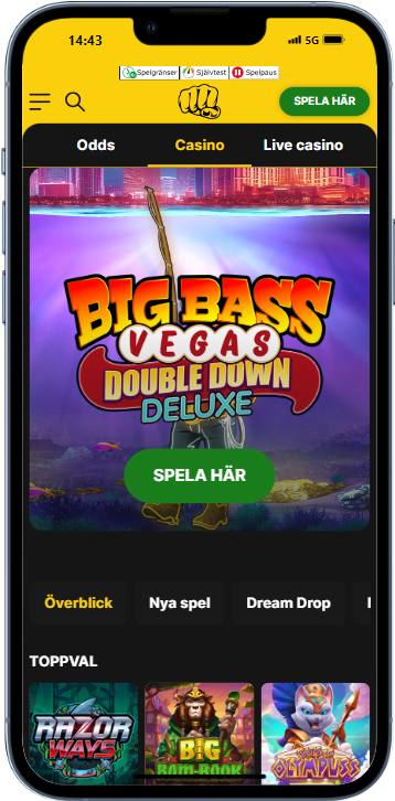 Bethard iphone 13 PRO