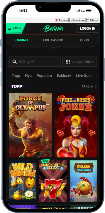 Betinia iphone 13 PRO