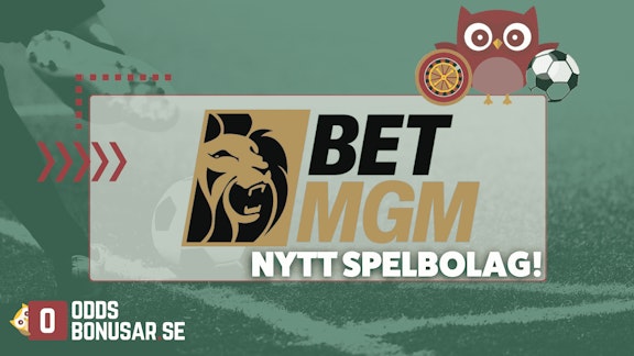 Betmgm nytt spelbolag