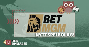 Betmgm nytt spelbolag