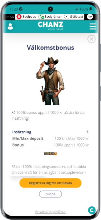 Chanz Samsung Galaxy S20