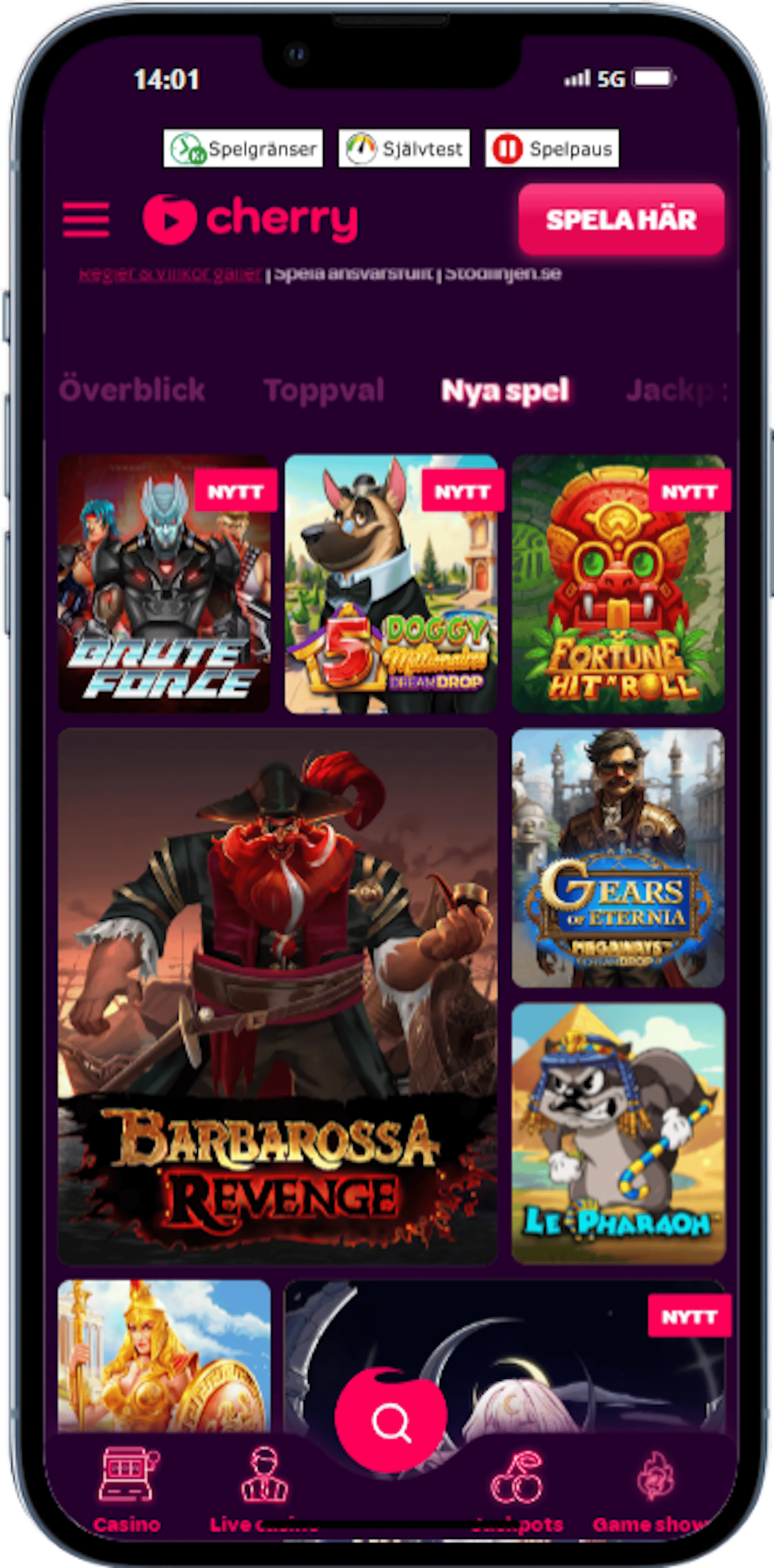 Cherry iphone 13 PRO