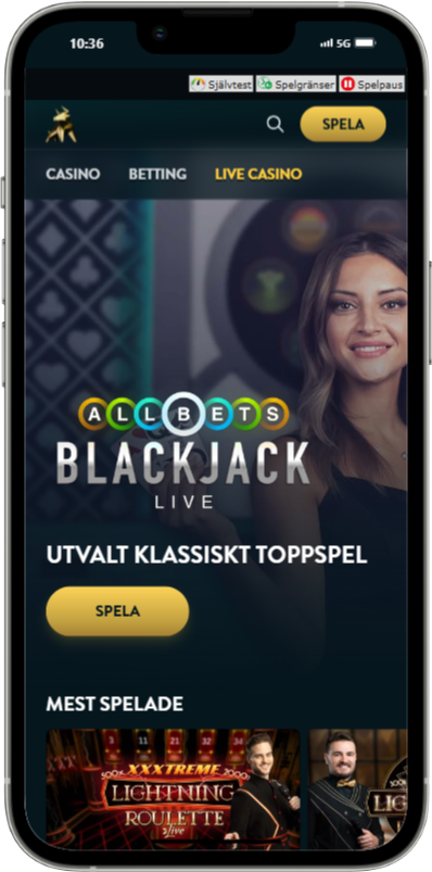 Golden Bull iphone 13 PRO