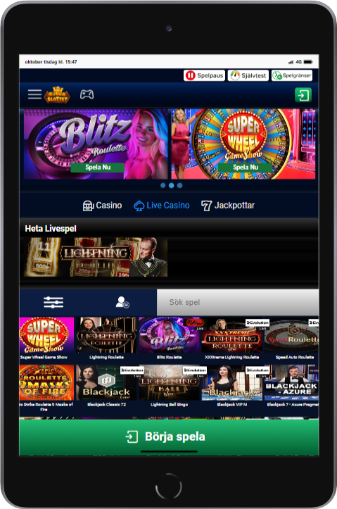 Kungaslottet ipad mini