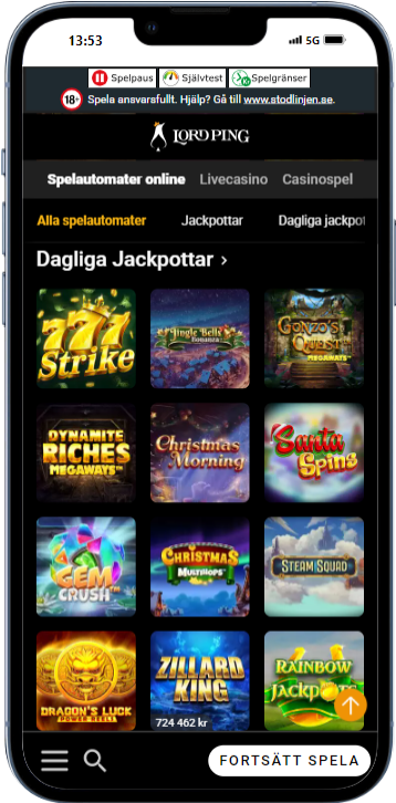 Lord ping iphone 13 PRO