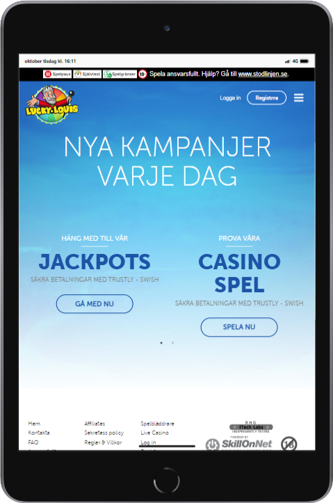 Lucky louis ipad mini