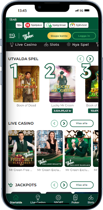 Mr Green iphone 13 PRO