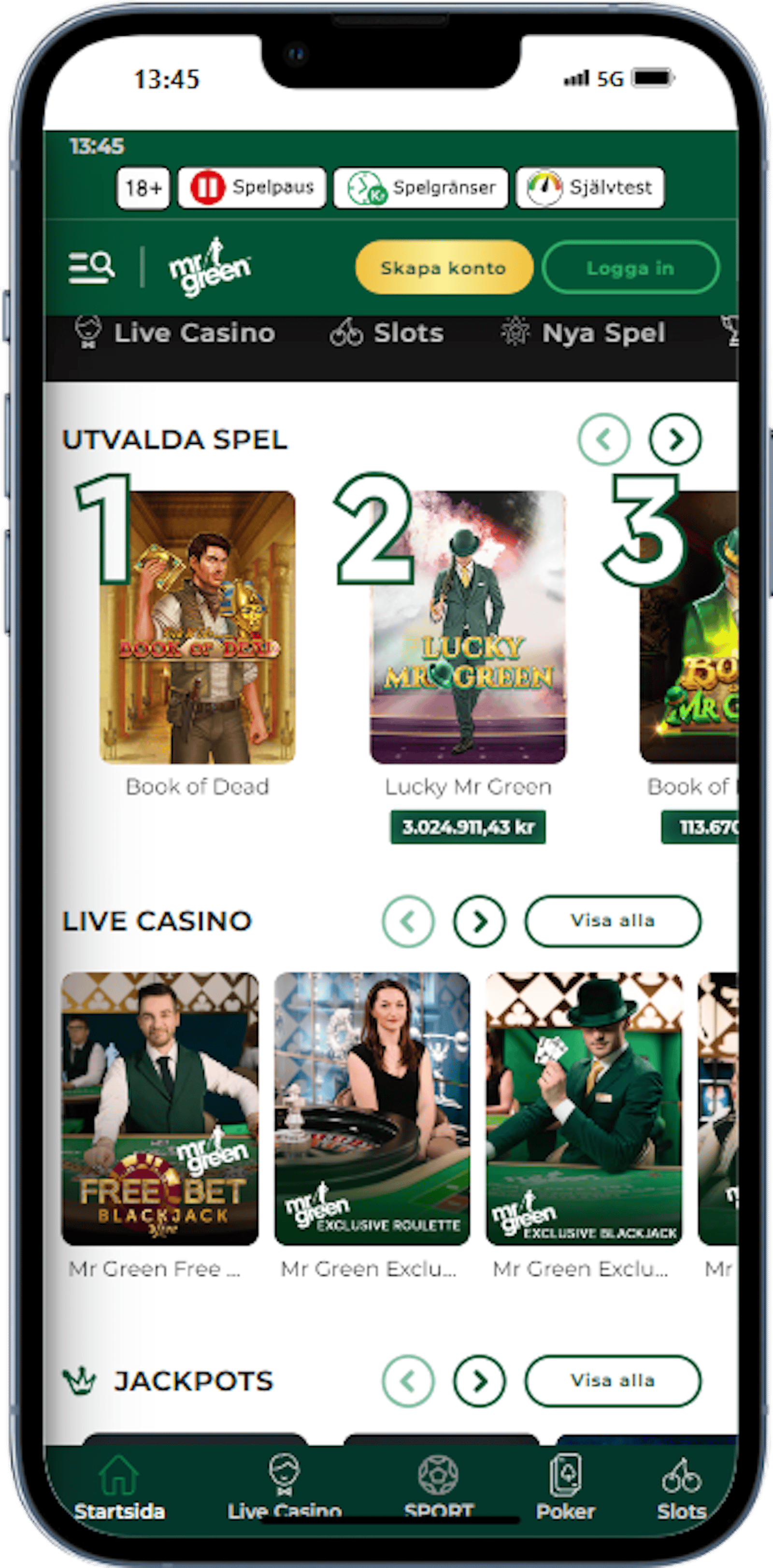 Mr Green iphone 13 PRO