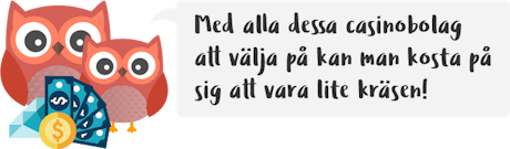 Bäst Casino bonus 2024