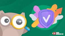 Owlie granskar sure bets för betting