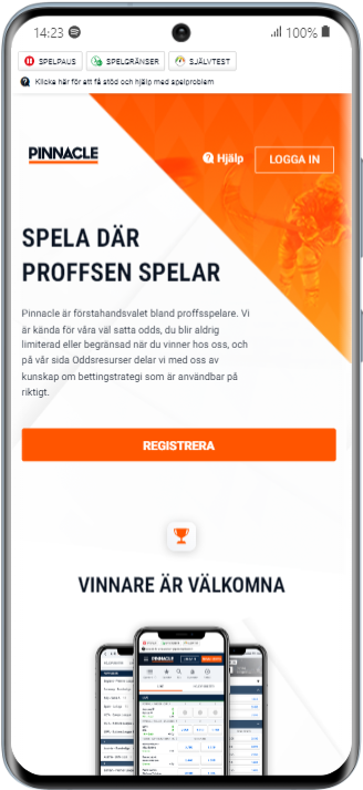 Pinnacle Samsung Galaxy S20