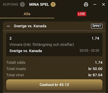 Spelkupong i Mega Riches sportsbook