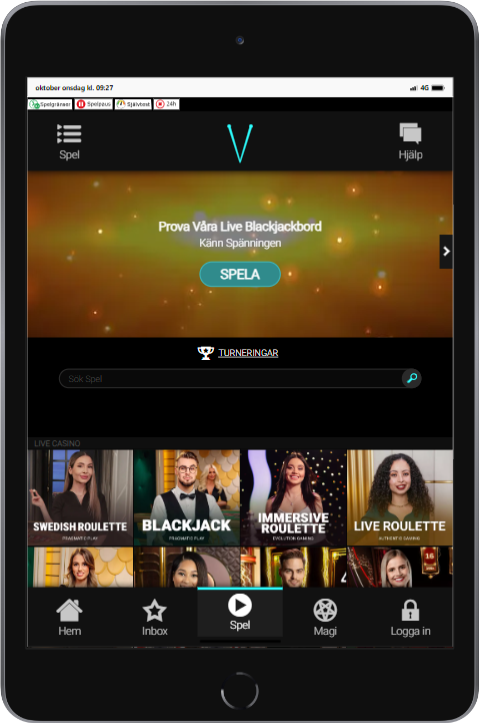 Voodoo dreams ipad mini