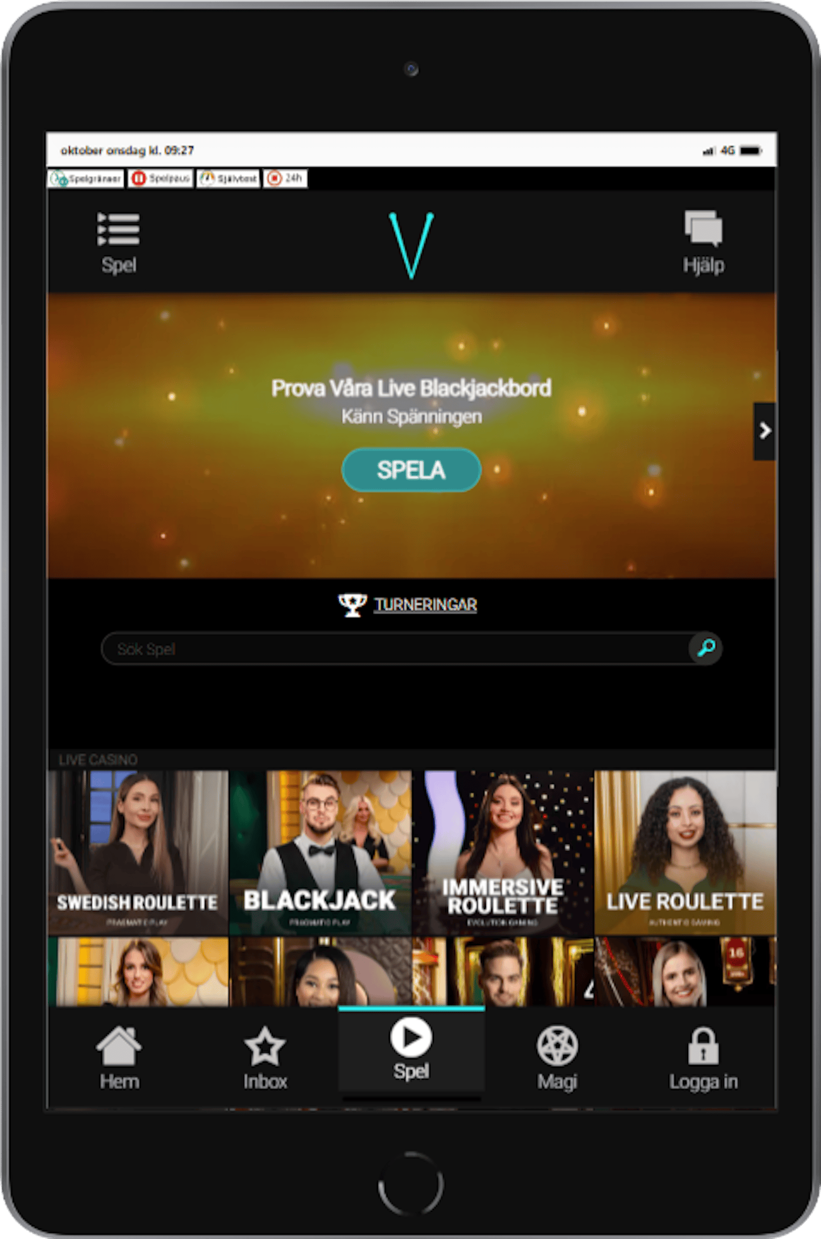 Voodoo dreams ipad mini
