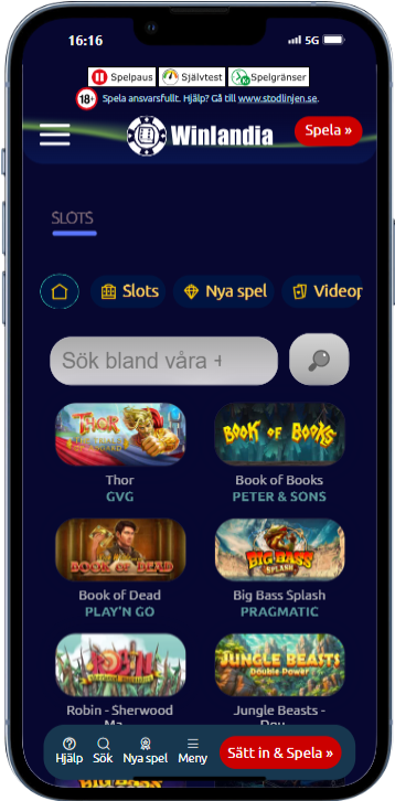 Winlandia iphone 13 PRO