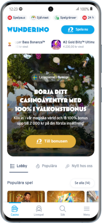 Wunderino Samsung Galaxy S20