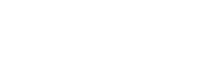 Chanz logo transparent